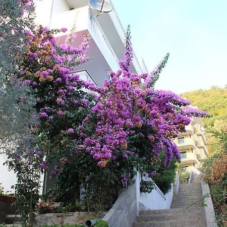 4M Apartments Petrovac Εξωτερικό φωτογραφία