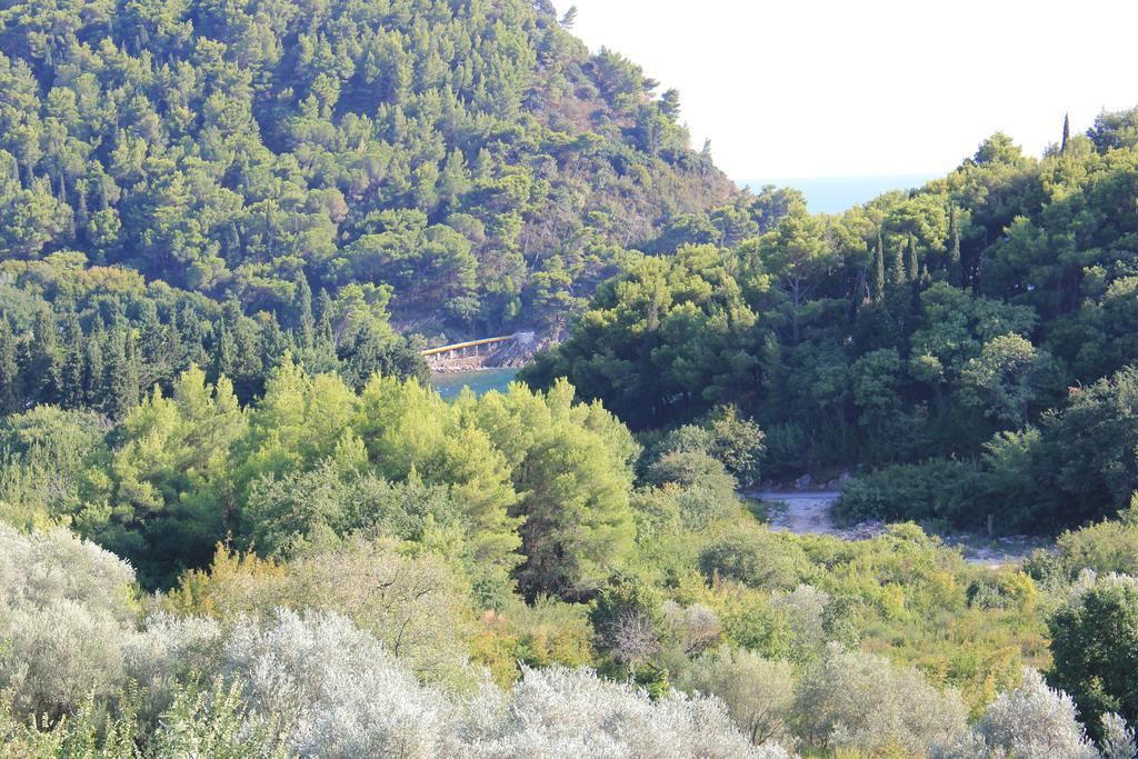 4M Apartments Petrovac Δωμάτιο φωτογραφία